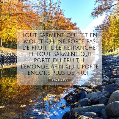 Picture 07 - Jean 15:2 LSG - Tout sarment qui est en moi et qui ne porte pas - Bible Verse Picture