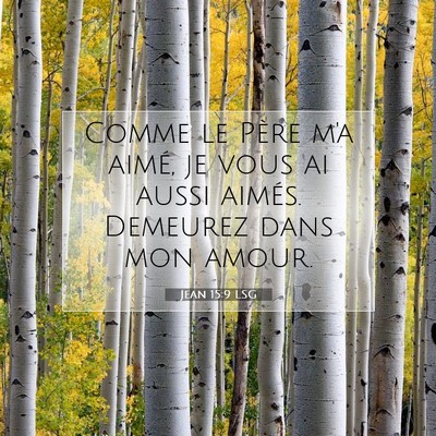 Picture 07 - Jean 15:9 LSG - Comme le Père m'a aimé, je vous ai aussi - Bible Verse Picture