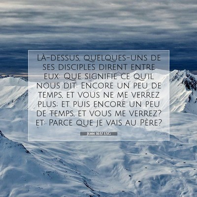 Picture 07 - Jean 16:17 LSG - Là-dessus, quelques-uns de ses disciples dirent - Bible Verse Picture