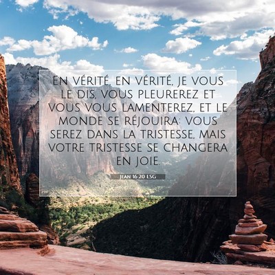 Picture 07 - Jean 16:20 LSG - En vérité, en vérité, je vous le dis, vous - Bible Verse Picture