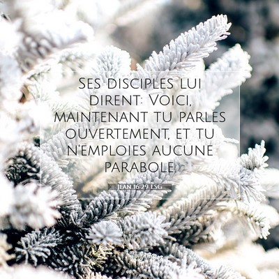 Picture 07 - Jean 16:29 LSG - Ses disciples lui dirent: Voici, maintenant tu - Bible Verse Picture