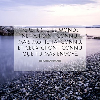 Picture 07 - Jean 17:25 LSG - Père juste, le monde ne t'a point connu; mais - Bible Verse Picture