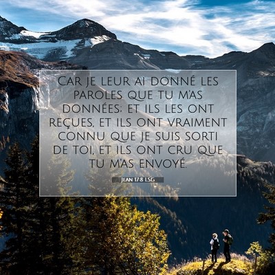 Picture 07 - Jean 17:8 LSG - Car je leur ai donné les paroles que tu m'as - Bible Verse Picture