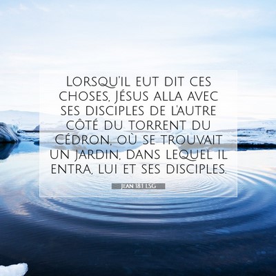Picture 07 - Jean 18:1 LSG - Lorsqu'il eut dit ces choses, Jésus alla avec - Bible Verse Picture