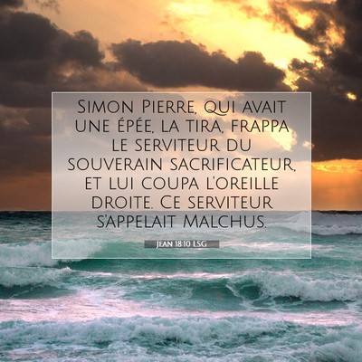 Picture 07 - Jean 18:10 LSG - Simon Pierre, qui avait une épée, la tira, - Bible Verse Picture