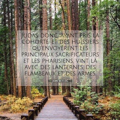 Picture 07 - Jean 18:3 LSG - Judas donc, ayant pris la cohorte, et des - Bible Verse Picture