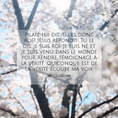 Picture 07 - Jean 18:37 LSG - Pilate lui dit: Tu es donc roi? Jésus répondit: - Bible Verse Picture