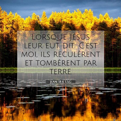 Picture 07 - Jean 18:6 LSG - Lorsque Jésus leur eut dit: C'est moi, ils - Bible Verse Picture