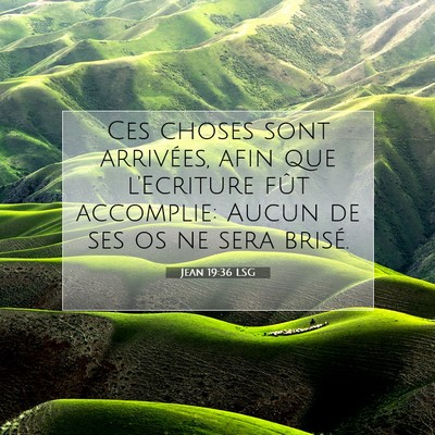 Picture 07 - Jean 19:36 LSG - Ces choses sont arrivées, afin que l'Ecriture - Bible Verse Picture