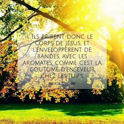 Picture 07 - Jean 19:40 LSG - Ils prirent donc le corps de Jésus, et - Bible Verse Picture
