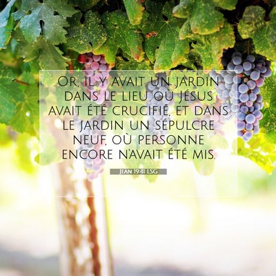 Picture 07 - Jean 19:41 LSG - Or, il y avait un jardin dans le lieu où Jésus - Bible Verse Picture