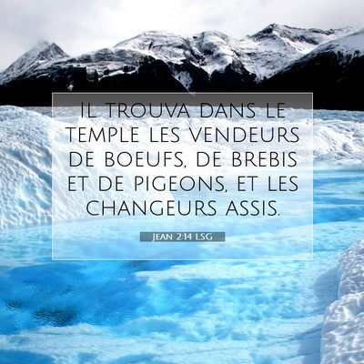 Picture 07 - Jean 2:14 LSG - Il trouva dans le temple les vendeurs de boeufs, - Bible Verse Picture