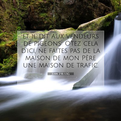 Picture 07 - Jean 2:16 LSG - et il dit aux vendeurs de pigeons: Otez cela - Bible Verse Picture