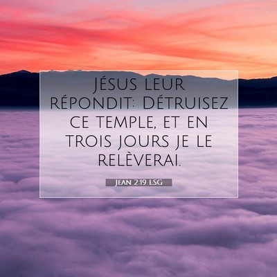 Picture 07 - Jean 2:19 LSG - Jésus leur répondit: Détruisez ce temple, et - Bible Verse Picture