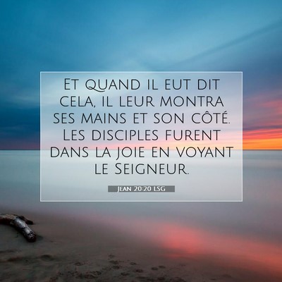 Picture 07 - Jean 20:20 LSG - Et quand il eut dit cela, il leur montra ses - Bible Verse Picture