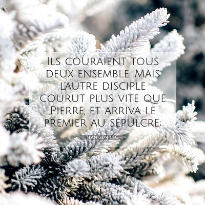 Picture 07 - Jean 20:4 LSG - Ils couraient tous deux ensemble. Mais l'autre - Bible Verse Picture