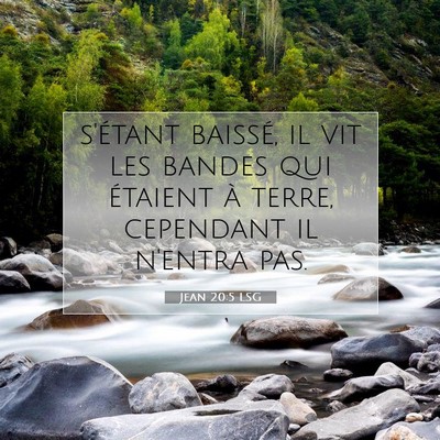 Picture 07 - Jean 20:5 LSG - s'étant baissé, il vit les bandes qui étaient - Bible Verse Picture