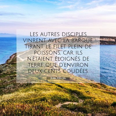 Picture 07 - Jean 21:8 LSG - Les autres disciples vinrent avec la barque, - Bible Verse Picture