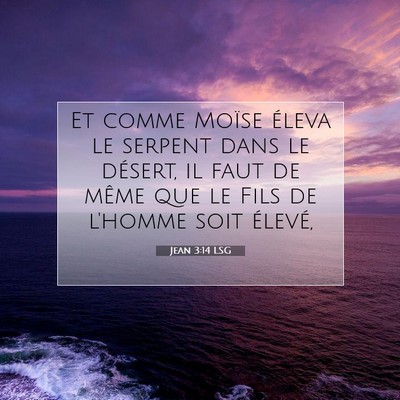 Picture 07 - Jean 3:14 LSG - Et comme Moïse éleva le serpent dans le - Bible Verse Picture
