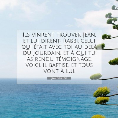 Picture 07 - Jean 3:26 LSG - Ils vinrent trouver Jean, et lui dirent: Rabbi, - Bible Verse Picture