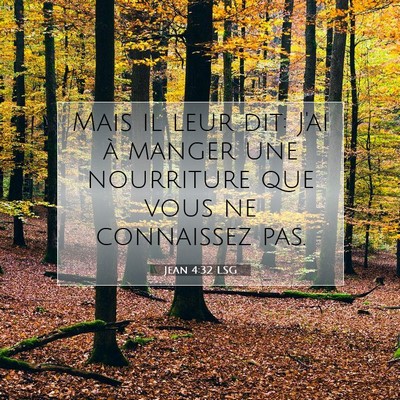 Picture 07 - Jean 4:32 LSG - Mais il leur dit: J'ai à manger une nourriture - Bible Verse Picture