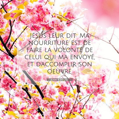 Picture 07 - Jean 4:34 LSG - Jésus leur dit: Ma nourriture est de faire la - Bible Verse Picture