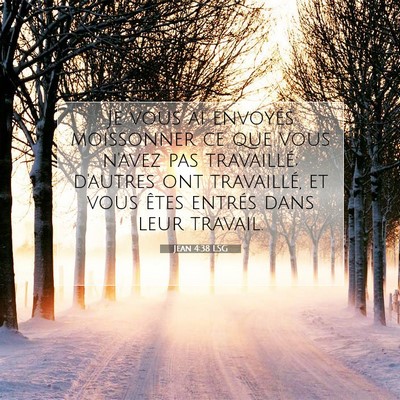Picture 07 - Jean 4:38 LSG - Je vous ai envoyés moissonner ce que vous n'avez - Bible Verse Picture