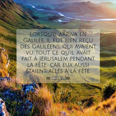 Picture 07 - Jean 4:45 LSG - Lorsqu'il arriva en Galilée, il fut bien reçu - Bible Verse Picture