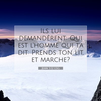 Picture 07 - Jean 5:12 LSG - Ils lui demandèrent: Qui est l'homme qui t'a - Bible Verse Picture
