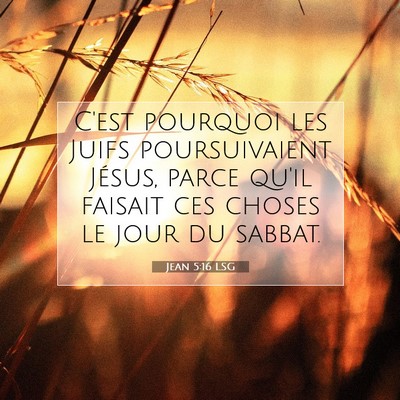 Picture 07 - Jean 5:16 LSG - C'est pourquoi les Juifs poursuivaient Jésus, - Bible Verse Picture