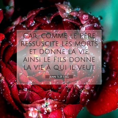 Picture 07 - Jean 5:21 LSG - Car, comme le Père ressuscite les morts et donne - Bible Verse Picture