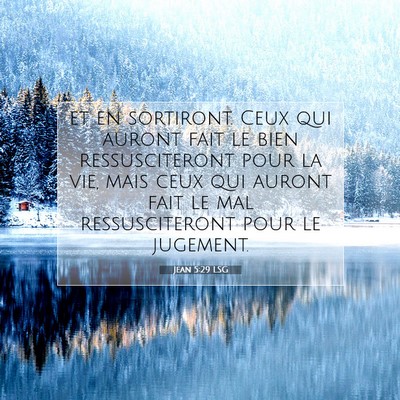Picture 07 - Jean 5:29 LSG - et en sortiront. Ceux qui auront fait le bien - Bible Verse Picture