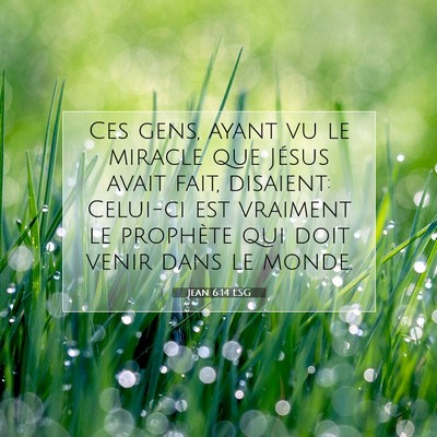 Picture 07 - Jean 6:14 LSG - Ces gens, ayant vu le miracle que Jésus avait - Bible Verse Picture