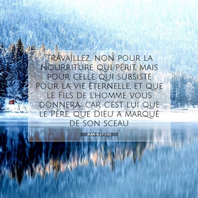 Picture 07 - Jean 6:27 LSG - Travaillez, non pour la nourriture qui périt, - Bible Verse Picture