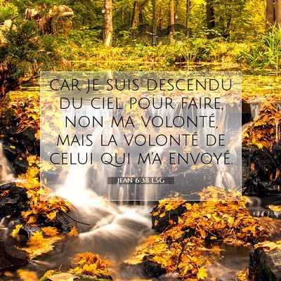 Picture 07 - Jean 6:38 LSG - car je suis descendu du ciel pour faire, non ma - Bible Verse Picture