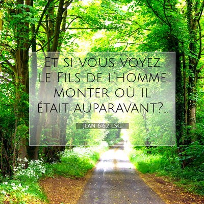 Picture 07 - Jean 6:62 LSG - Et si vous voyez le Fils de l'homme monter où il - Bible Verse Picture
