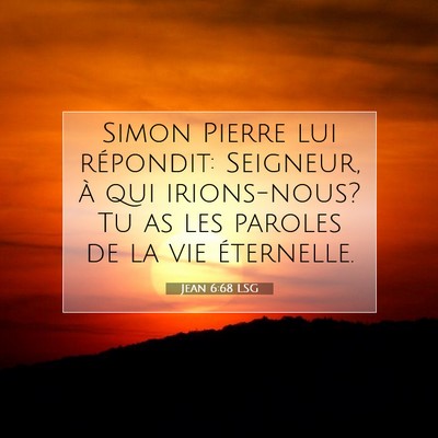 Picture 07 - Jean 6:68 LSG - Simon Pierre lui répondit: Seigneur, à qui - Bible Verse Picture
