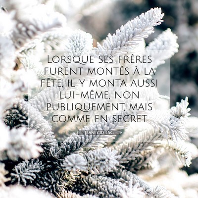 Picture 07 - Jean 7:10 LSG - Lorsque ses frères furent montés à la fête, - Bible Verse Picture