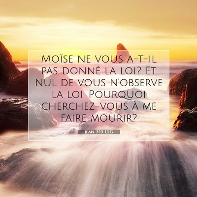 Picture 07 - Jean 7:19 LSG - Moïse ne vous a-t-il pas donné la loi? Et nul - Bible Verse Picture