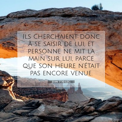 Picture 07 - Jean 7:30 LSG - Ils cherchaient donc à se saisir de lui, et - Bible Verse Picture