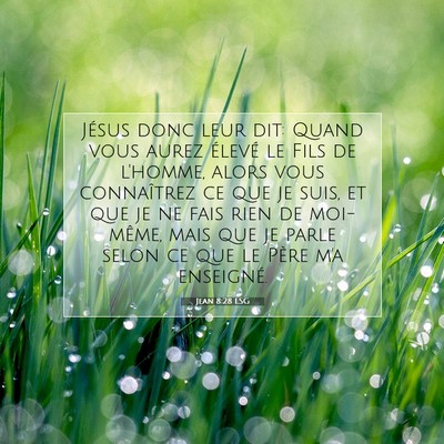 Picture 07 - Jean 8:28 LSG - Jésus donc leur dit: Quand vous aurez élevé le - Bible Verse Picture