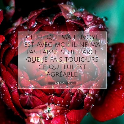 Picture 07 - Jean 8:29 LSG - Celui qui m'a envoyé est avec moi; il ne m'a pas - Bible Verse Picture