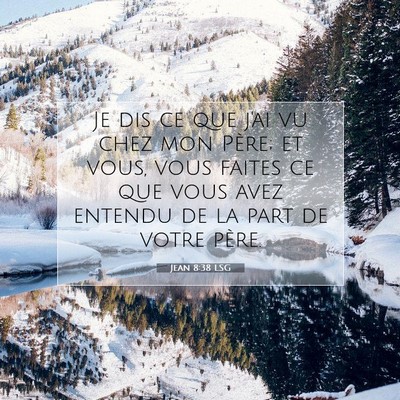 Picture 07 - Jean 8:38 LSG - Je dis ce que j'ai vu chez mon Père; et vous, - Bible Verse Picture