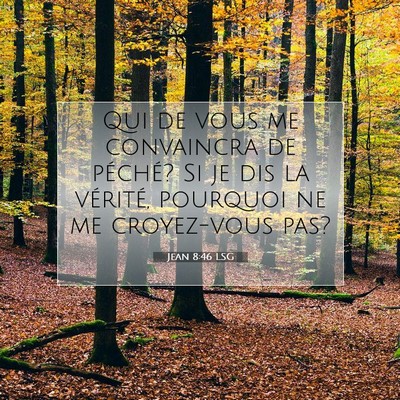 Picture 07 - Jean 8:46 LSG - Qui de vous me convaincra de péché? Si je dis - Bible Verse Picture