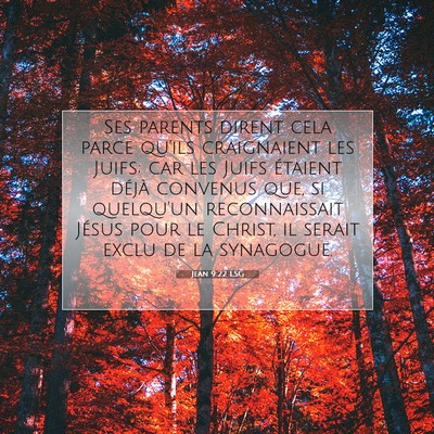 Picture 07 - Jean 9:22 LSG - Ses parents dirent cela parce qu'ils craignaient - Bible Verse Picture