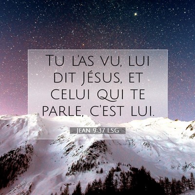Picture 07 - Jean 9:37 LSG - Tu l'as vu, lui dit Jésus, et celui qui te - Bible Verse Picture
