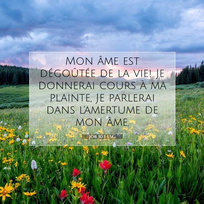 Picture 07 - Job 10:1 LSG - Mon âme est dégoûtée de la vie! Je donnerai - Bible Verse Picture