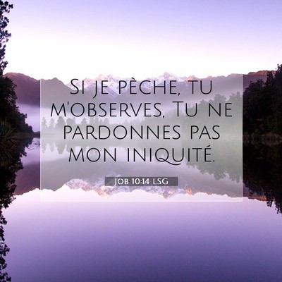 Picture 07 - Job 10:14 LSG - Si je pèche, tu m'observes, Tu ne pardonnes pas - Bible Verse Picture
