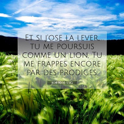 Picture 07 - Job 10:16 LSG - Et si j'ose la lever, tu me poursuis comme un - Bible Verse Picture