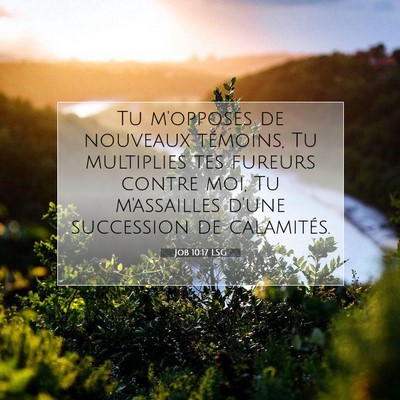 Picture 07 - Job 10:17 LSG - Tu m'opposes de nouveaux témoins, Tu multiplies - Bible Verse Picture